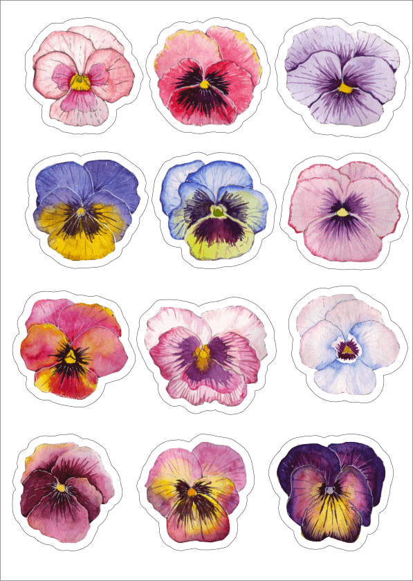 Floral Craft Stickers: Clear Vinyl Pansies for Journaling